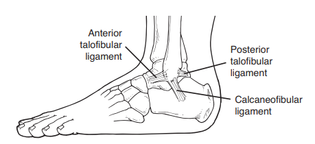 Fall Foot Pain - Foot and Ankle Specialists of Ames